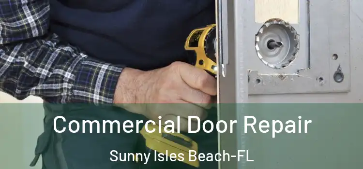  Commercial Door Repair Sunny Isles Beach-FL