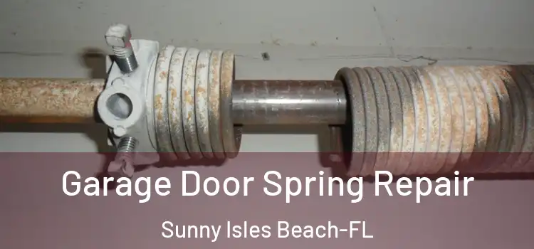 Garage Door Spring Repair Sunny Isles Beach-FL