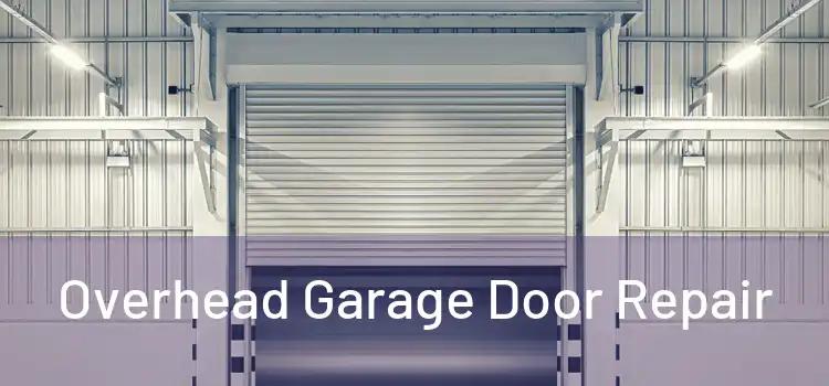  Overhead Garage Door Repair 